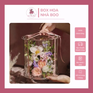 BOX HOA TRỤ TRONG SUỐT – HẺM NHÀ BOO | QUÀ TẶNG HOA TƯƠI THANH LỊCH
