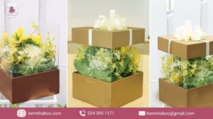 Hướng dẫn chọn và bảo quản box hoa trong suốt