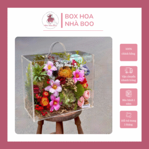 hộp quà hoa khô
