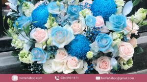 Box hoa biếc tinh tế cho quà tặng đầy cảm xúc