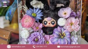 Chọn box hoa baby three chuẩn đẹp