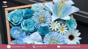 Box hoa giá rẻ đẹp tinh tế phù hợp mọi dịp tặng quà