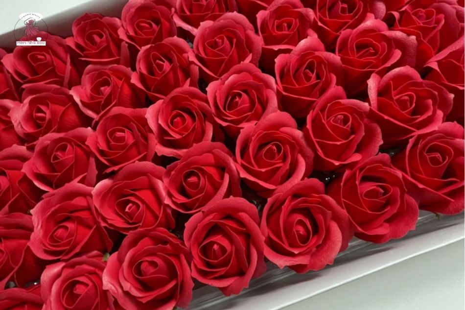 Các loại hoa sáp phổ biến