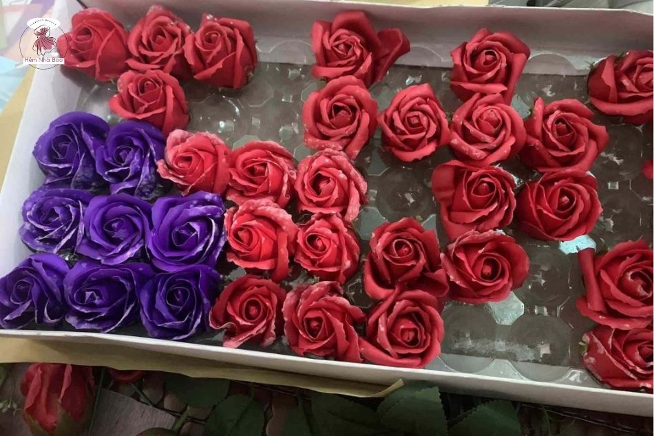 Các loại hoa sáp phổ biến và tuổi thọ